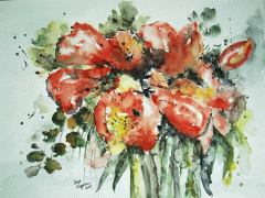 Amaryllis (verkauft)